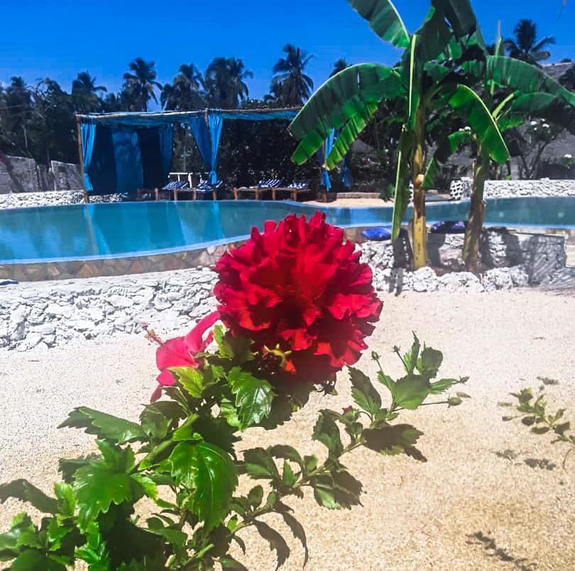 Lucrezia'S Garden Zanzibar Otel Pwani Mchangani Dış mekan fotoğraf
