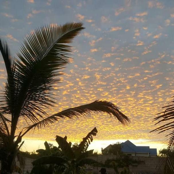 Lucrezia'S Garden Zanzibar Otel Pwani Mchangani Dış mekan fotoğraf